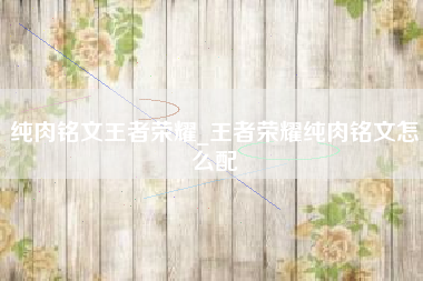 纯肉铭文王者荣耀_王者荣耀纯肉铭文怎么配