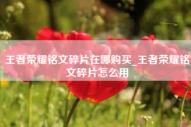 王者荣耀铭文碎片在哪购买_王者荣耀铭文碎片怎么用