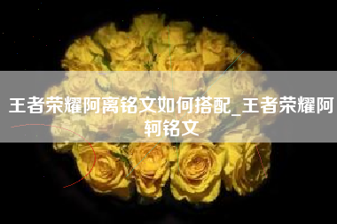 王者荣耀阿离铭文如何搭配_王者荣耀阿轲铭文