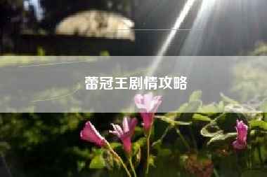 蕾冠王剧情攻略