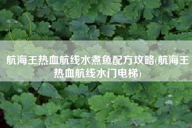 航海王热血航线水煮鱼配方攻略(航海王热血航线水门电梯)