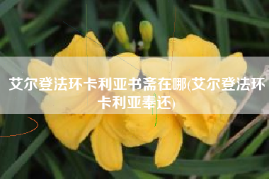 艾尔登法环卡利亚书斋在哪(艾尔登法环卡利亚奉还)