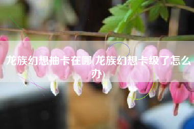 龙族幻想抽卡在哪(龙族幻想卡级了怎么办)