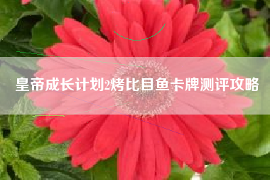 皇帝成长计划2烤比目鱼卡牌测评攻略