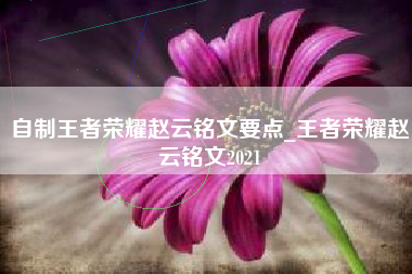 自制王者荣耀赵云铭文要点_王者荣耀赵云铭文2021