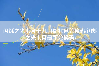 闪烁之光七月十九日周礼包兑换码(闪烁之光七月最新兑换码)