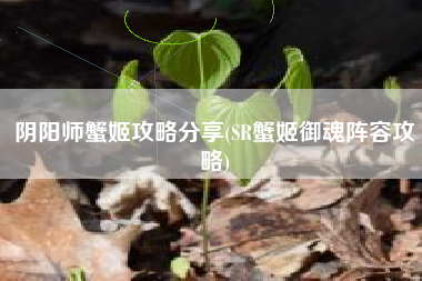 阴阳师蟹姬攻略分享(SR蟹姬御魂阵容攻略)