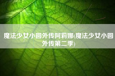 魔法少女小圆外传阿莉娜(魔法少女小圆外传第二季)