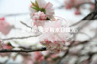 英灵殿(英灵殿末日曙光)
