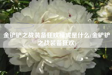 金铲铲之战装备狂欢模式是什么(金铲铲之战装备狂欢)