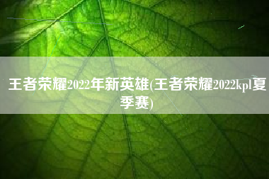 王者荣耀2022年新英雄(王者荣耀2022kpl夏季赛)