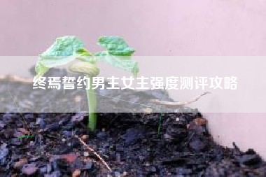 终焉誓约男主女主强度测评攻略