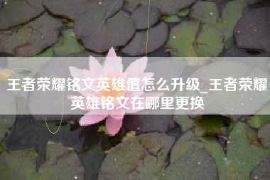 王者荣耀铭文英雄值怎么升级_王者荣耀英雄铭文在哪里更换
