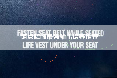 锚点降临最强输出培养推荐