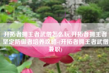 开拓者拥王者武僧怎么玩,开拓者拥王者坚定防御者培养攻略-(开拓者拥王者武僧兼职)