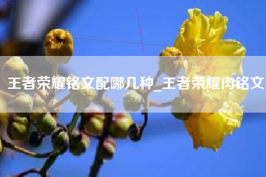 王者荣耀铭文配哪几种_王者荣耀肉铭文