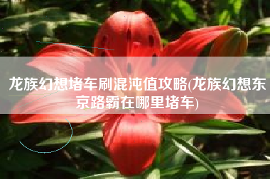 龙族幻想堵车刷混沌值攻略(龙族幻想东京路霸在哪里堵车)