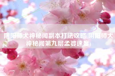 阴阳师犬神秘闻副本打法攻略(阴阳师犬神秘闻第九层孟婆速度)