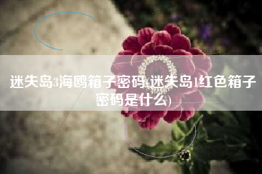 迷失岛3海鸥箱子密码(迷失岛1红色箱子密码是什么)