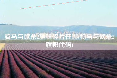 骑马与砍杀2旗帜碎片在哪(骑马与砍杀2旗帜代码)