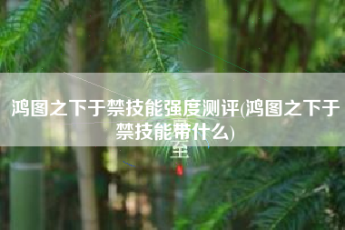 鸿图之下于禁技能强度测评(鸿图之下于禁技能带什么)