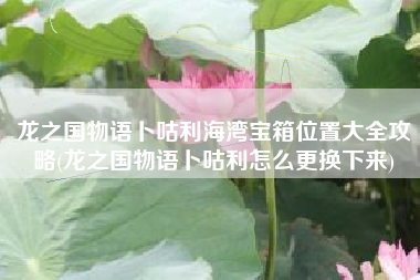 龙之国物语卜咕利海湾宝箱位置大全攻略(龙之国物语卜咕利怎么更换下来)