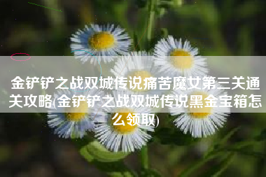 金铲铲之战双城传说痛苦魔女第三关通关攻略(金铲铲之战双城传说黑金宝箱怎么领取)