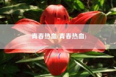 青春热血(青春热血)