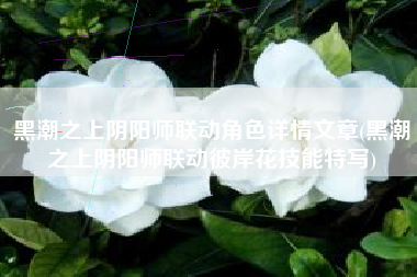 黑潮之上阴阳师联动角色详情文章(黑潮之上阴阳师联动彼岸花技能特写)