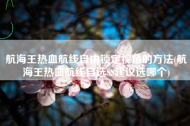 航海王热血航线自由锁定视角的方法(航海王热血航线自选SS建议选哪个)