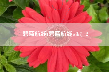 碧蓝航线(碧蓝航线wiki)_2