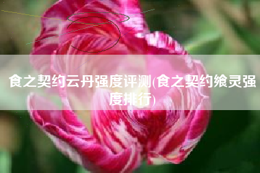 食之契约云丹强度评测(食之契约飨灵强度排行)