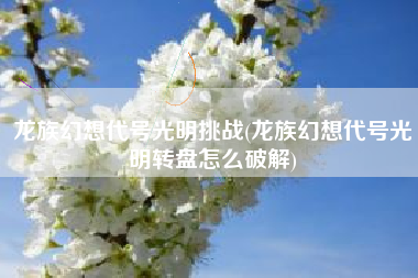 龙族幻想代号光明挑战(龙族幻想代号光明转盘怎么破解)