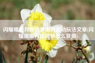闪耀暖暖月夜绮梦限时活动玩法文章(闪耀暖暖月夜绮梦怎么获得)