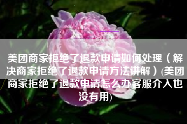 美团商家拒绝了退款申请如何处理（解决商家拒绝了退款申请方法讲解）(美团商家拒绝了退款申请怎么办客服介入也没有用)