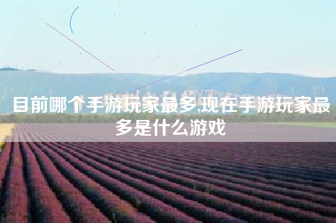 目前哪个手游玩家最多,现在手游玩家最多是什么游戏