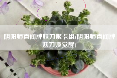 阴阳师百闻牌妖刀姬卡组(阴阳师百闻牌妖刀姬觉醒)