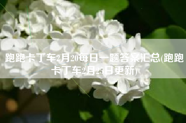 跑跑卡丁车2月20每日一题答案汇总(跑跑卡丁车2月25日更新)