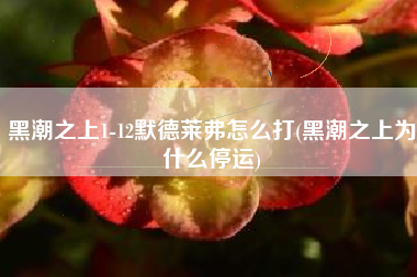 黑潮之上1-12默德莱弗怎么打(黑潮之上为什么停运)