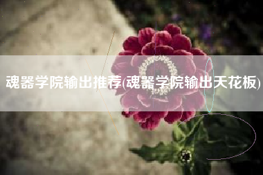 魂器学院输出推荐(魂器学院输出天花板)