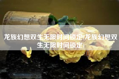龙族幻想双生无限时间锁定(龙族幻想双生无限时间锁定)