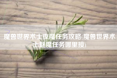 魔兽世界术士夜魔任务攻略(魔兽世界术士魅魔任务哪里接)