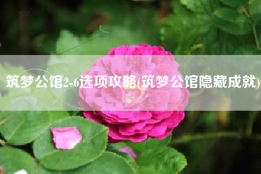 筑梦公馆2-6选项攻略(筑梦公馆隐藏成就)