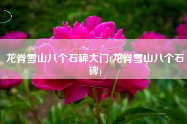 龙脊雪山八个石碑大门(龙脊雪山八个石碑)
