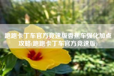 跑跑卡丁车官方竞速版香蕉车强化加点攻略(跑跑卡丁车官方竞速版)