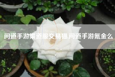 问道手游渠道服交易猫,问道手游氪金么