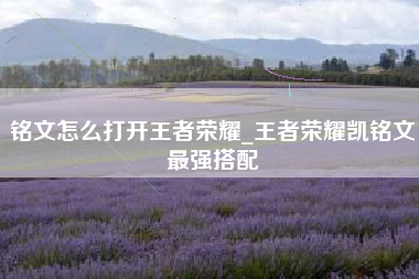 铭文怎么打开王者荣耀_王者荣耀凯铭文最强搭配