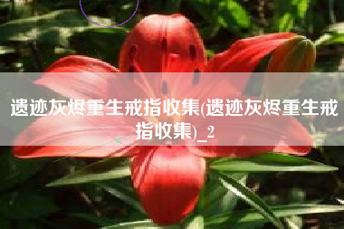 遗迹灰烬重生戒指收集(遗迹灰烬重生戒指收集)_2