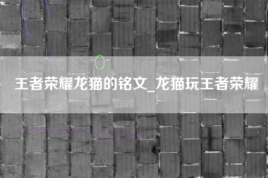 王者荣耀龙猫的铭文_龙猫玩王者荣耀