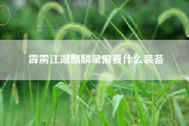 霹雳江湖麒麟星需要什么装备